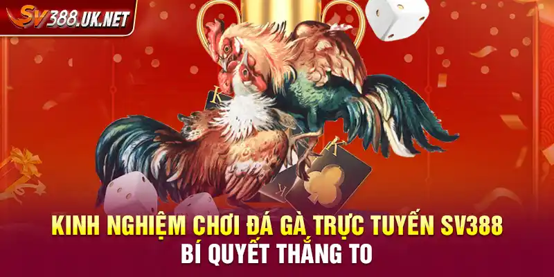 Kinh Nghiệm Chơi Đá Gà Trực Tuyến SV388 – Bí Quyết Thắng To Kinh Nghiệm Chơi Đá Gà Trực Tuyến SV388 – Bí Quyết Thắng To