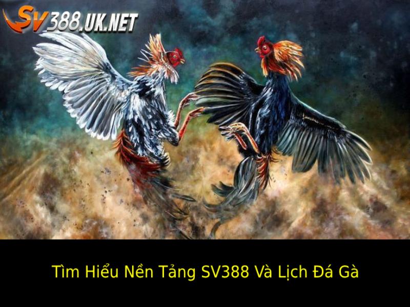 Lịch Đá Gà SV388 Mới Nhất – Cập Nhật Các Trận Đấu Hấp Dẫn Tìm Hiểu Sâu Về Nền Tảng SV388 và Lịch Đá Gà