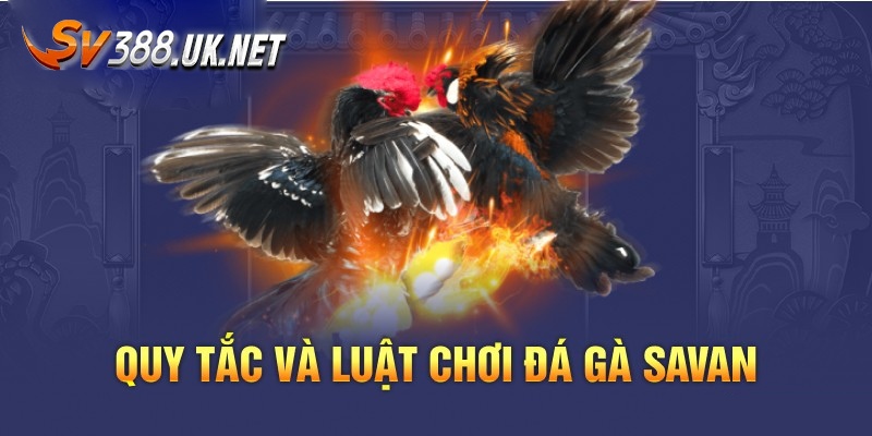 Trực Tiếp Đá Gà Savan - Những Trận Đấu Hay Nhất Hành Tinh Luật chọi kê Savan