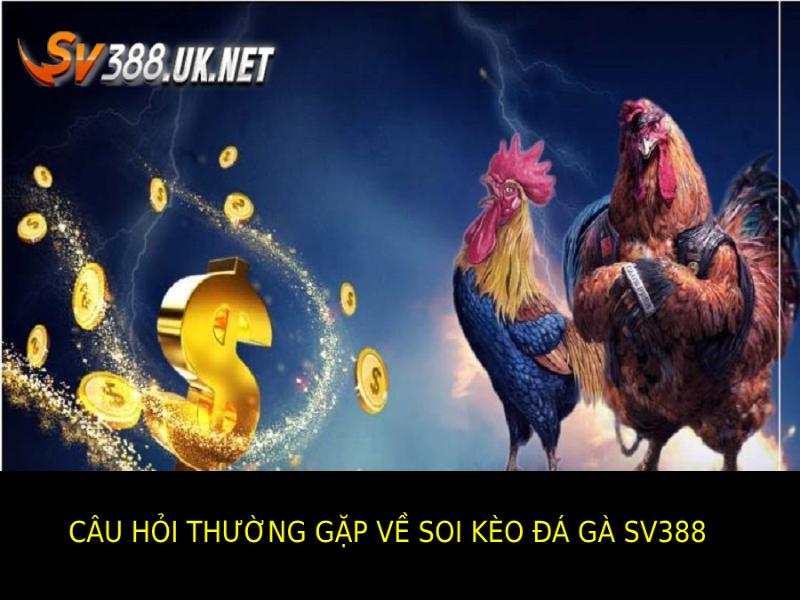Soi Kèo Đá Gà SV388 – Bí Quyết Đặt Cược Hiệu Quả Nhất Câu Hỏi Thường Gặp (FAQs) Liên Quan Soi Kèo Đá Gà SV388