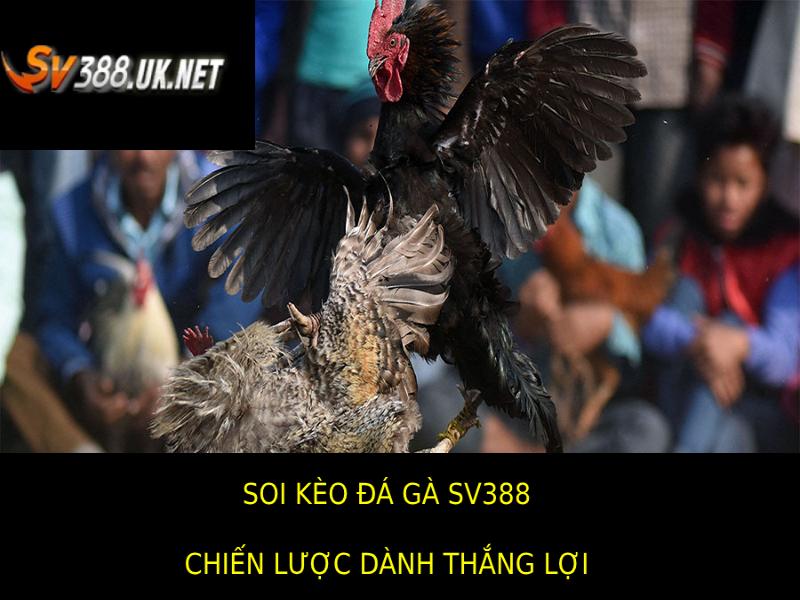 Soi Kèo Đá Gà SV388 – Bí Quyết Đặt Cược Hiệu Quả Nhất Chiến Lược Thắng Lợi Khi Soi Kèo Đá Gà SV388