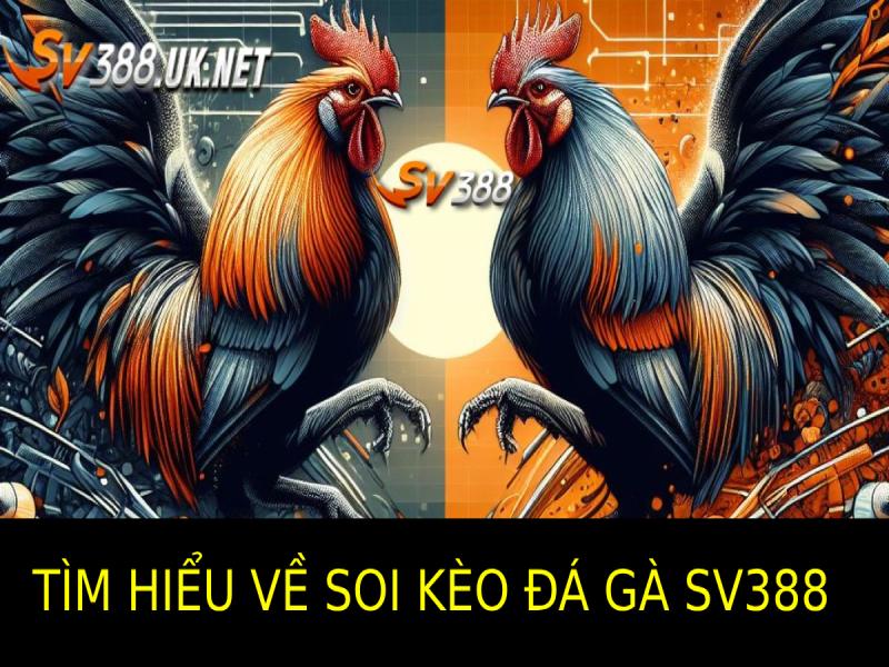 Soi Kèo Đá Gà SV388 – Bí Quyết Đặt Cược Hiệu Quả Nhất Tìm Hiểu Về Soi Kèo Đá Gà SV388
