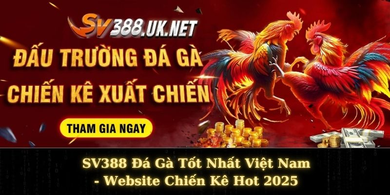SV388 Đá Gà Tốt Nhất Việt Nam - Website Chiến Kê Hot 2025 SV388 Đá Gà Tốt Nhất Việt Nam - Website Chiến Kê Hot 2025