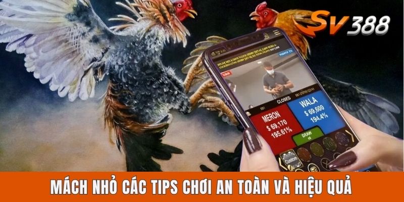 Sv388 Có Hợp Pháp Không? Giải Đáp Thắc Mắc Cho Tay Chơi Mách nhỏ các tips chơi an toàn và hiệu quả