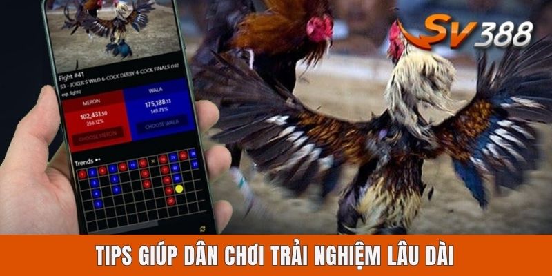 Sv388 Bị Chặn Phải Làm Sao? Cách Xử Lý Chuẩn Nhất Cho Newbie Tips giúp dân chơi trải nghiệm lâu dài