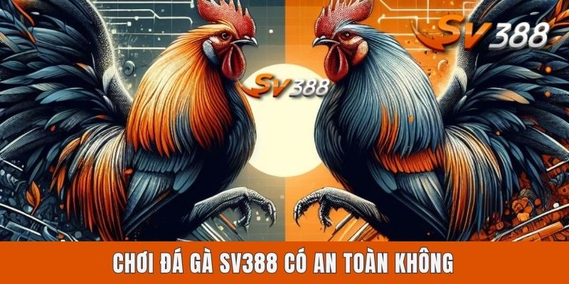 Chơi Đá Gà Sv388 Có An Toàn Không Dựa Trên 4 Yếu Tố Cốt Lõi Chơi Đá Gà Sv388 Có An Toàn Không Dựa Trên 4 Yếu Tố Cốt Lõi