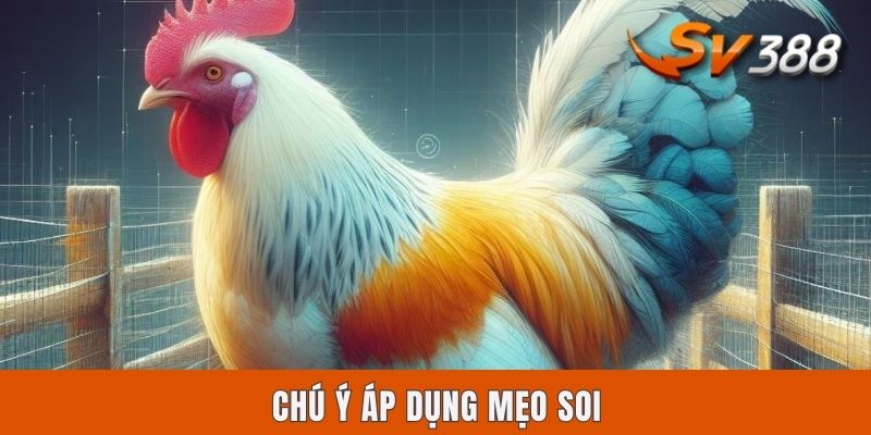 Mẹo Soi Kèo Đá Gà Sv388 | Cẩm Nang 4 Bí Kíp Vàng Bất Bại Chú ý áp dụng mẹo soi