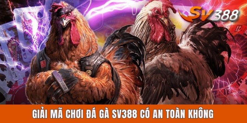 Chơi Đá Gà Sv388 Có An Toàn Không Dựa Trên 4 Yếu Tố Cốt Lõi Giải mã chơi đá gà Sv388 có an toàn không