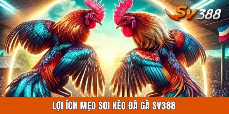 Mẹo Soi Kèo Đá Gà Sv388 | Cẩm Nang 4 Bí Kíp Vàng Bất Bại Lợi ích mẹo soi kèo đá gà Sv388